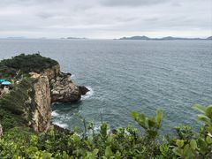-杨梅坑