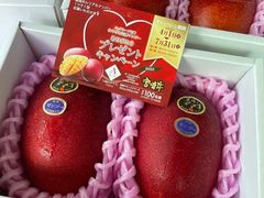 -广州四季酒店
