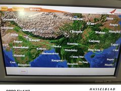 -英迪拉·甘地国际机场