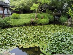 -上海醉白池公园