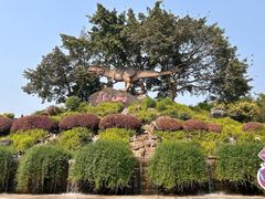 -自贡恐龙博物馆