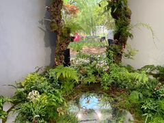 -上海鲜花港