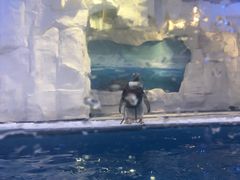 -华夏文旅海洋公园