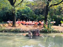 -上海野生动物园