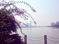 iphone_upload_pic-南宁南湖公园