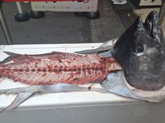 -大起水产回转寿司(道顿堀店)