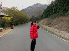 -青岛森林野生动物世界