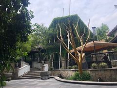-得丘礼享谷·玉兰苑