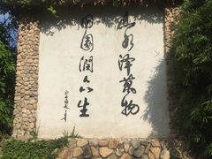 -观澜山水田园