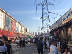 -中环花鸟鱼虫市场