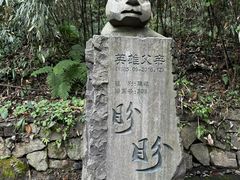-都江堰中华大熊猫苑