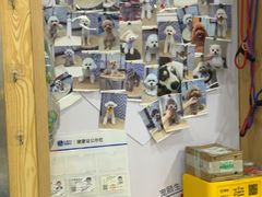 -宠颐生宠物医院·异宠猫科内科·诊疗中心宠巢店