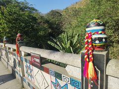 -西双版纳原始森林公园