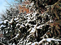 -长春公园(普阳街道)