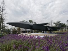 -成飞公园