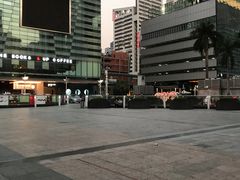 -金光华广场