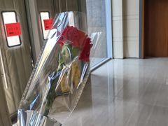 -爱康国宾体检中心(顺平分院)