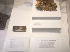 -墨尔本博物馆(Melbourne Museum)