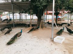 -好江南农庄·农家乐