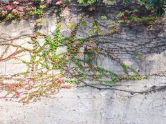 -半岛1919创意园区