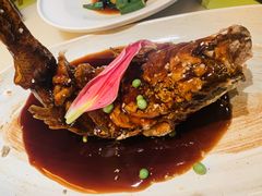 -桂满陇天书(南京德基旗舰店)