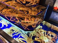 -蟹道乐(道顿堀本店)