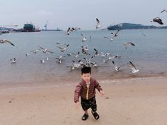 -海驴岛(荣成市)