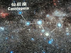 -抱抱地球咖啡馆(国家海洋博物馆店)