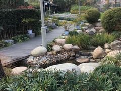 -活水公园