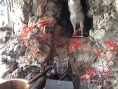 iphone_upload_pic-乔家满族八大碗(流水沟店)