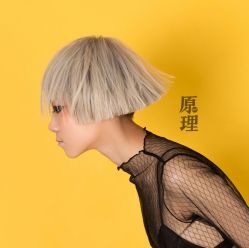 -Y-STUDIO原理