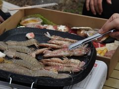 -草庵摩尼教遗址公园