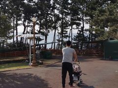 -柱状节理带