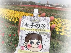 -荷兰花海