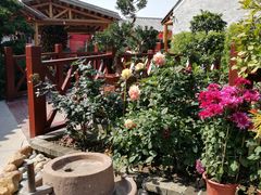 -顺德了能馆(虎门店)