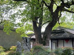 -尚湖风景区