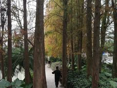 -四海公园(南山区)