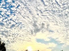 -南宁良凤江国家森林公园