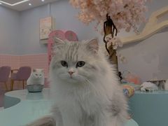 -德云社(三里屯店)