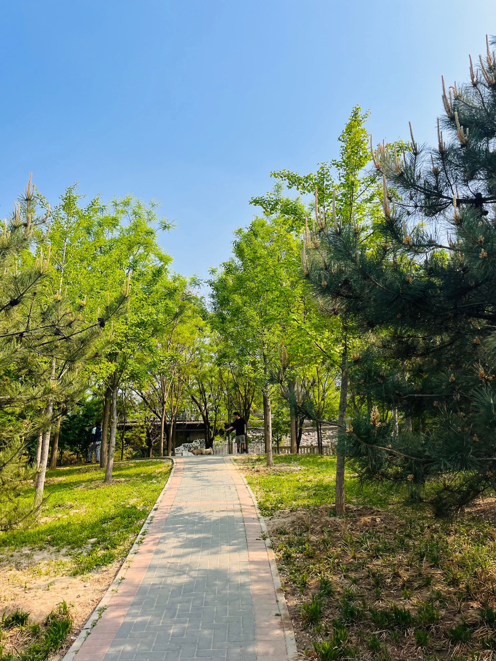 百子湾休闲公园