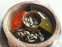 菌王奇香锅-滇釜火锅·能喝汤的火锅(车公庄店)