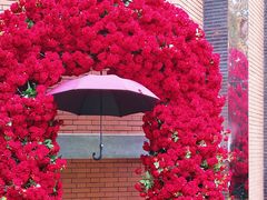 -西安电影制片厂