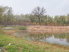 -翠湖国家城市湿地公园