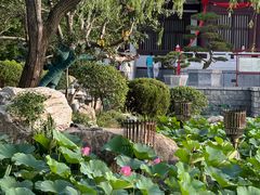 -华清宫景区