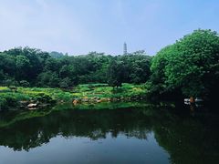 -巢湖姥山岛