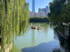 -团结湖公园