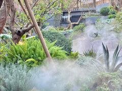 -瑞虹新天地月亮湾