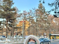 -长春市南湖公园