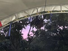 -小蜜蜂团建自助烧烤场(小洲村店)