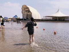 -碧海金沙